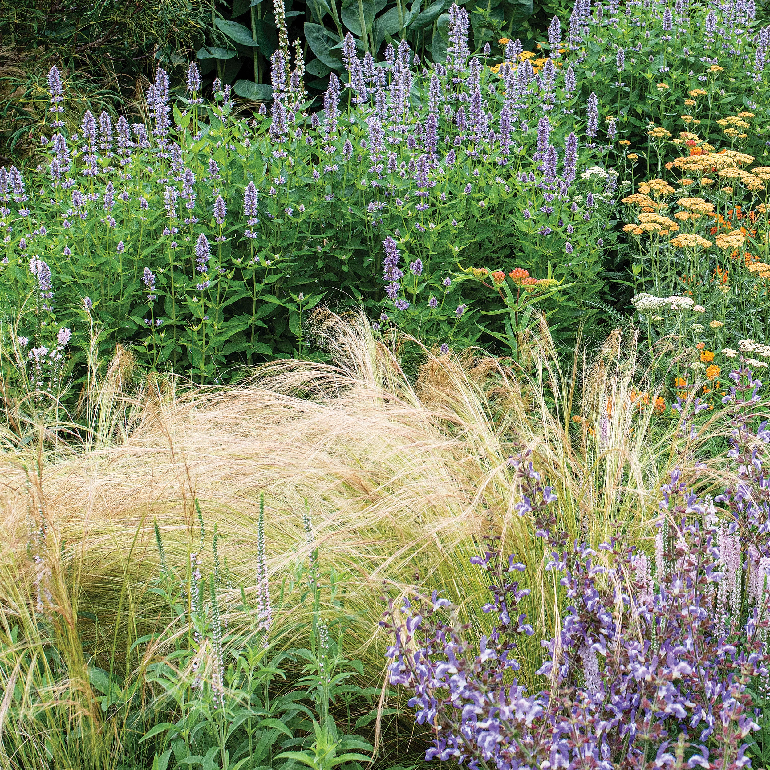 Grass - Feather 'Pony Tails' - Image 3