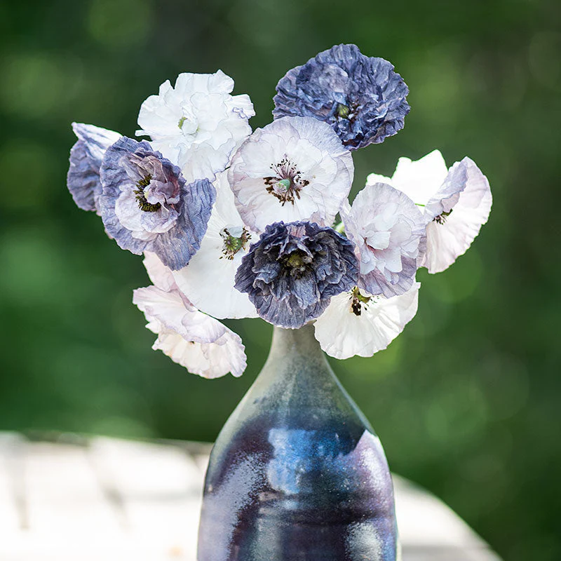 Poppy - Shirley 'Amazing Grey' - Image 4