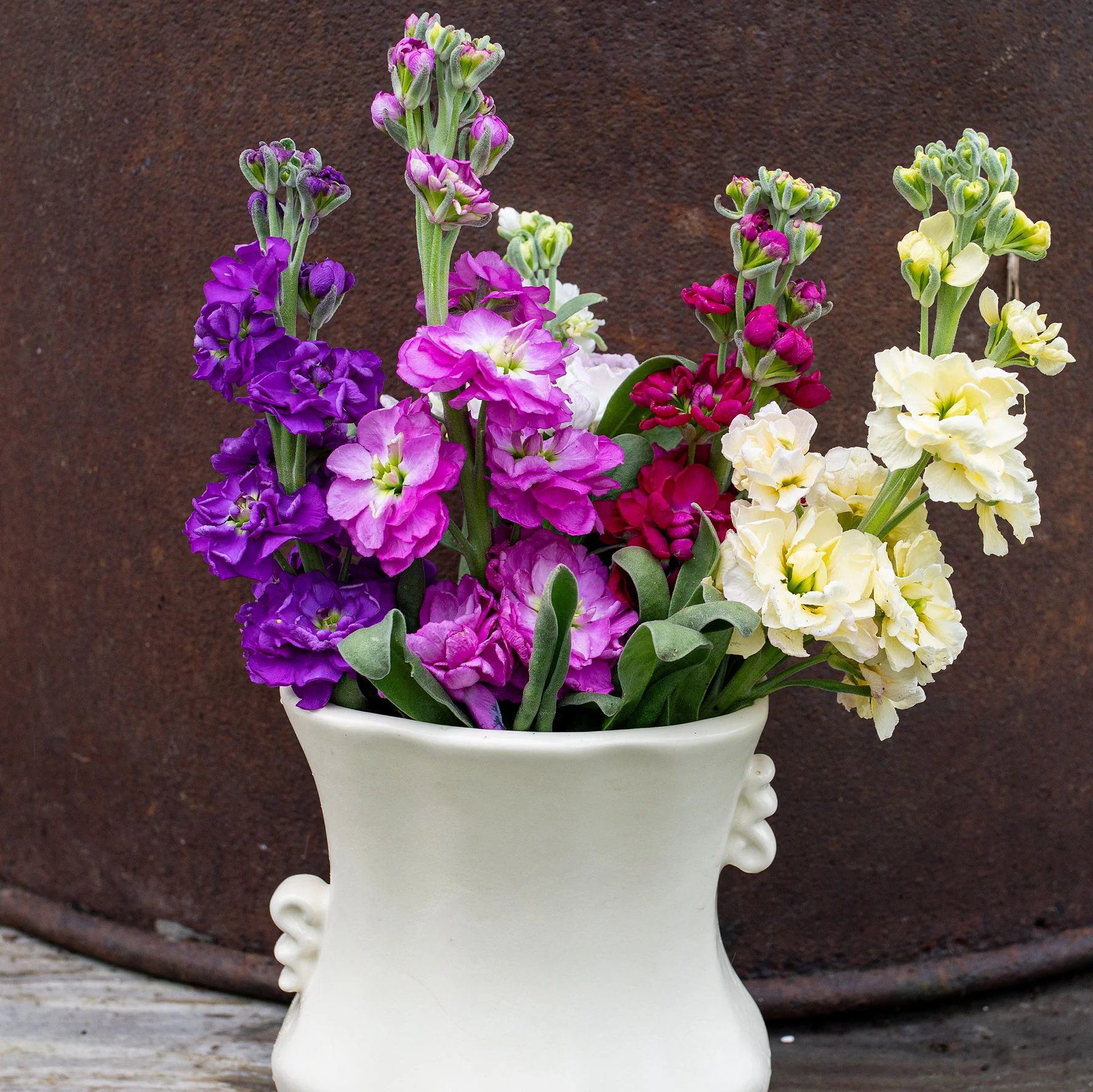 Stock 'Anytime Mix' - Image 2